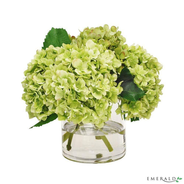 7 Hydrangea bush green 55cm - CoraliaGarden™