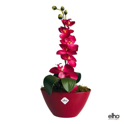 Phalaenopsis lilac avec pot elho 20 cm - CoraliaGarden™