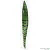 Sanseveria leaf green 60cm - CoraliaGarden™