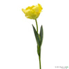 Tulip pick yellow 16 cm - CoraliaGarden™