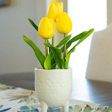 Tulip pick yellow 16 cm - CoraliaGarden™